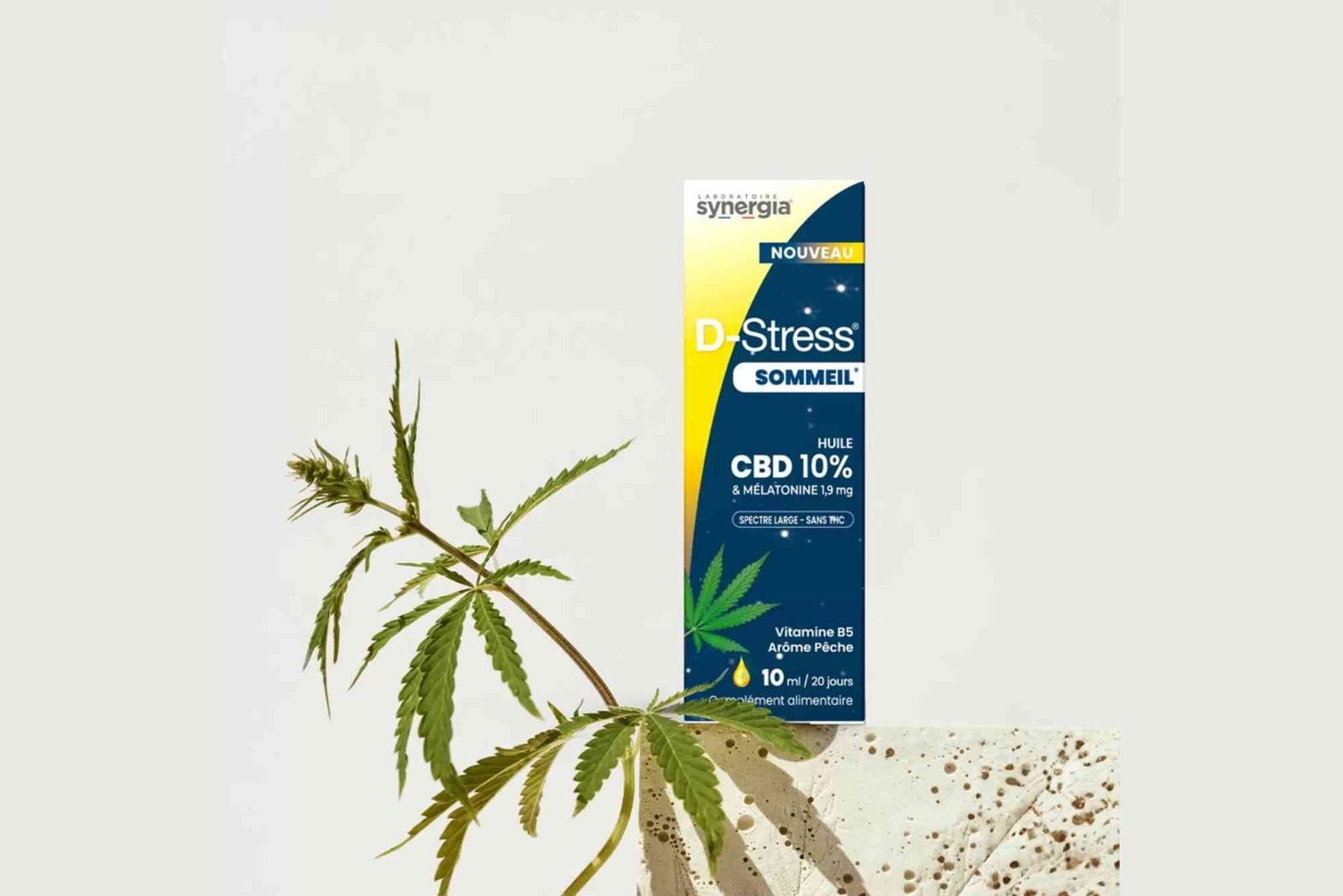 CBD Workplace Rules UAE