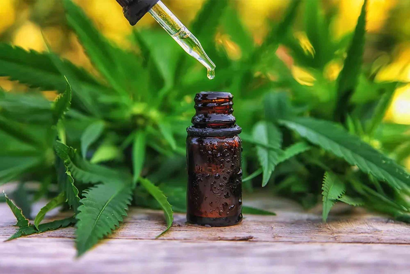 CBD Newbie Checklist UAE